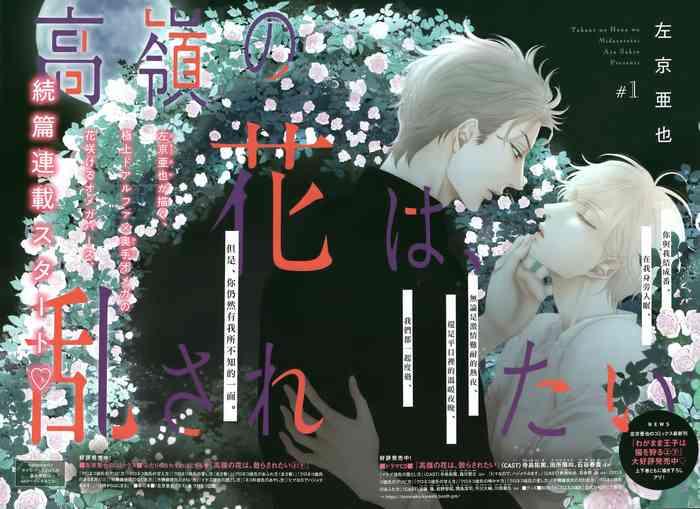 takane no hana wa midasaretai 01 04 cover