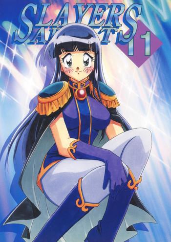 slayers adult 11 cover
