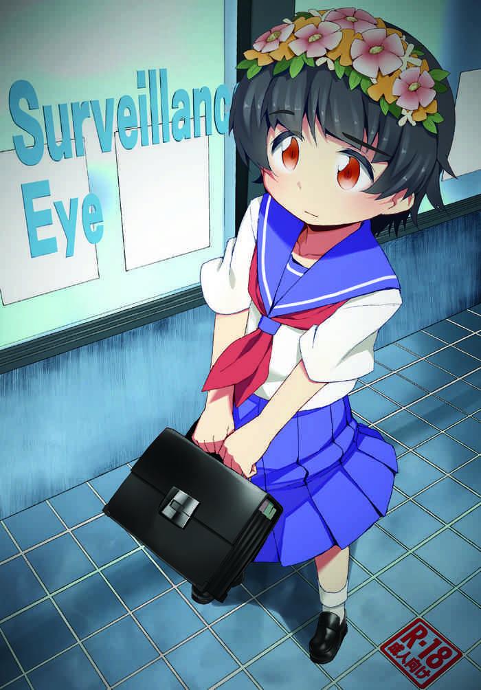 surveillance eye cover