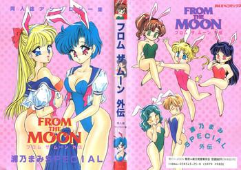 from the moon gaiden cover