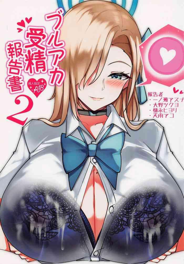 bluarch jusei houkokusho 2 cover