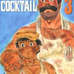 cocktail 3 cover