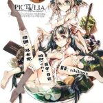 pictulia cover