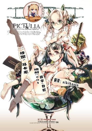 pictulia cover