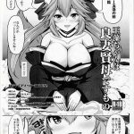 tamamo chan is a good wife and a wise mother cover