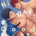 good night good knight cover