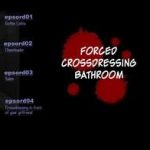 kyousei josou toilet forced cross dressing cover